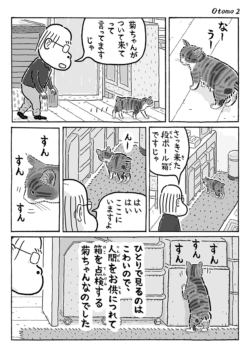 2ページ猫漫画「お供につれて」 #猫の菊ちゃん 