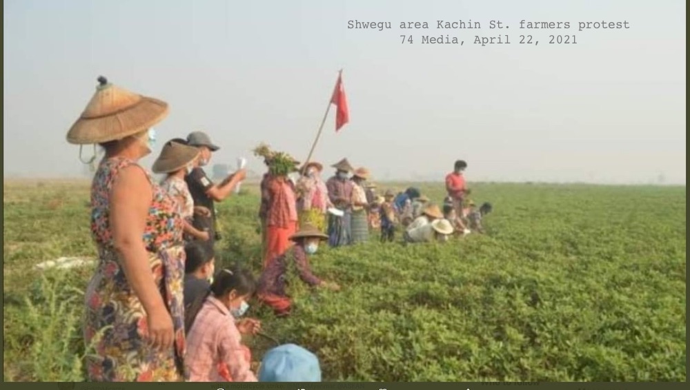 1. This (May Day) History Thread is about Agricultural Workers' Uprisings in Burma (Myanmar) which has a long background of peasant rebellions. With workforce est. 70% agriculture employed rural resistance to Feb. 1, 2021 coup is extremely significant.  #WhatsHappeningInMyanmar 