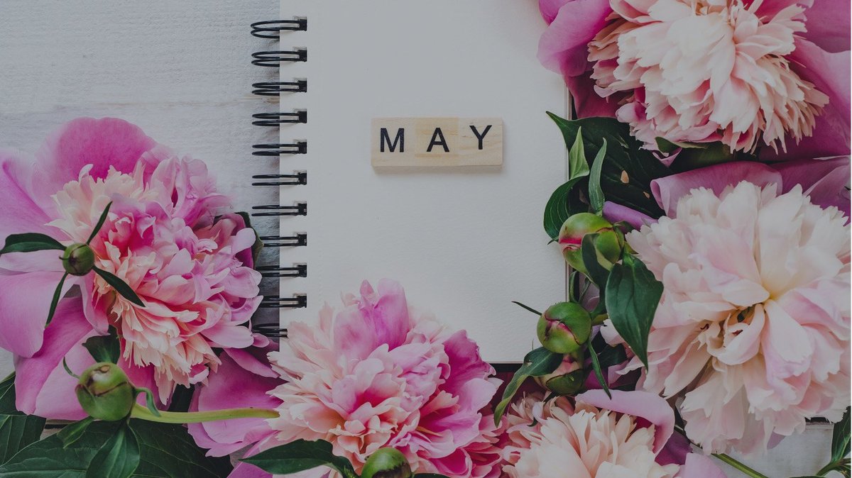 GeesBeauty tweet media