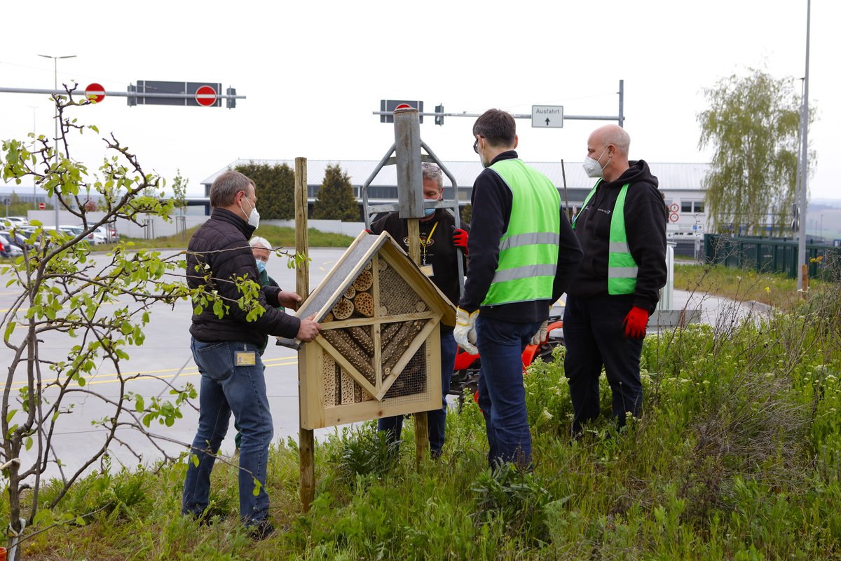 dpdhl_fra's tweet photo. Mehr #Grün am #Paketzentrum #Saulheim: #Postmitarbeiter aus #Mainz und #Saulheim haben gestern #Obstbäume rund ums #Paketzentrum gepflanzt und #Bienenwiesen angelegt. Die Aktion fand im Rahmen des #GlobalVolunteerDay der @DeutschePost statt. https://t.co/VQSdhq2IrH