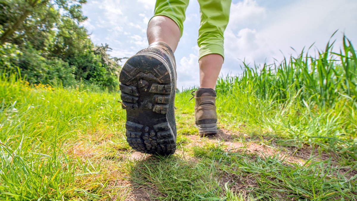 It's national walking month! 🥾🚶 Walking is good for our minds and our bodies and has been a lifeline during the past year, helping us all stay active and connected. Are you going on any wild walks this weekend? 🌱🐞🦔🐝🐿️