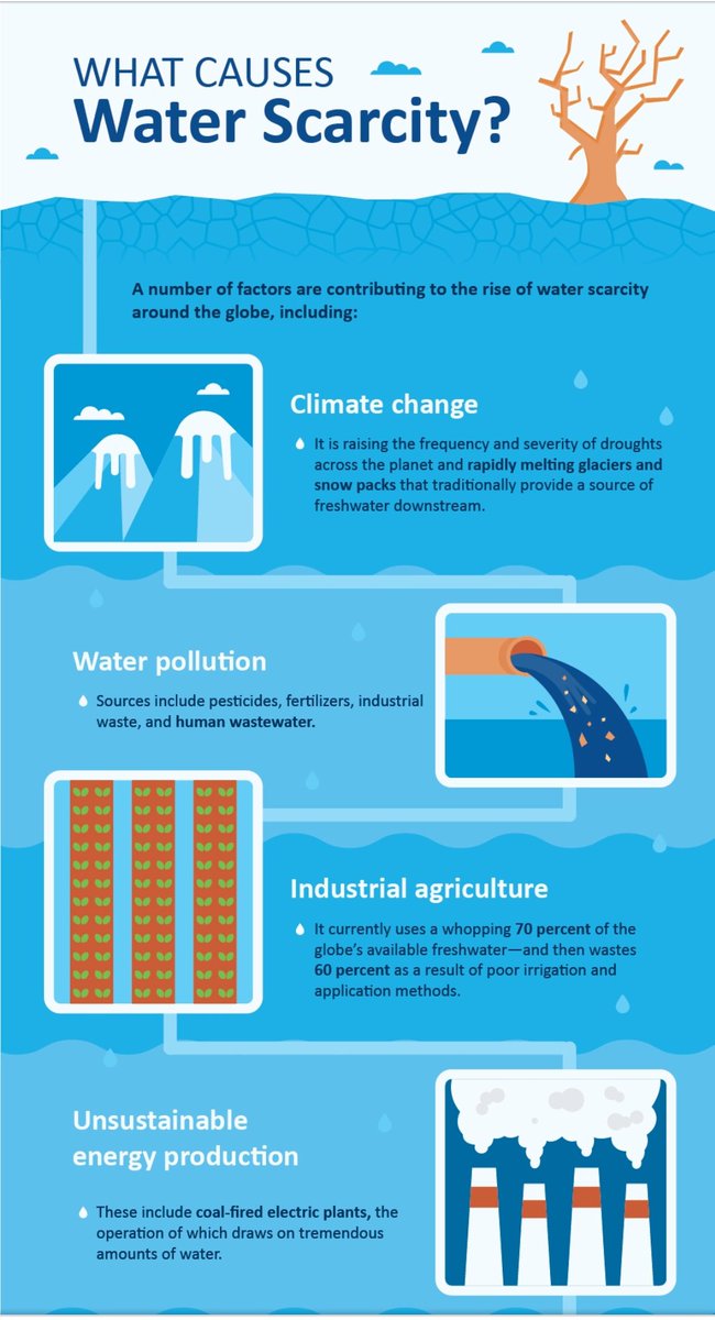 enock_kiminta's tweet photo. What causes Water Scarcity? 👇 https://t.co/HGK4sY6Ck8