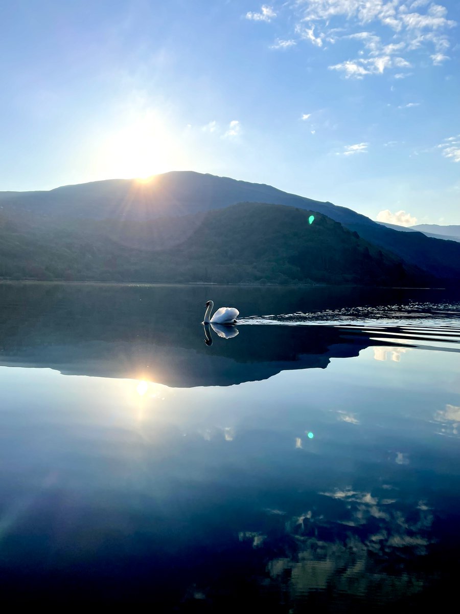 Worthymedic's tweet photo. A #Swan swim byโฆ. it had a commanding presence this morning! #padarn #llanberis https://t.co/DmnrkcTYi0