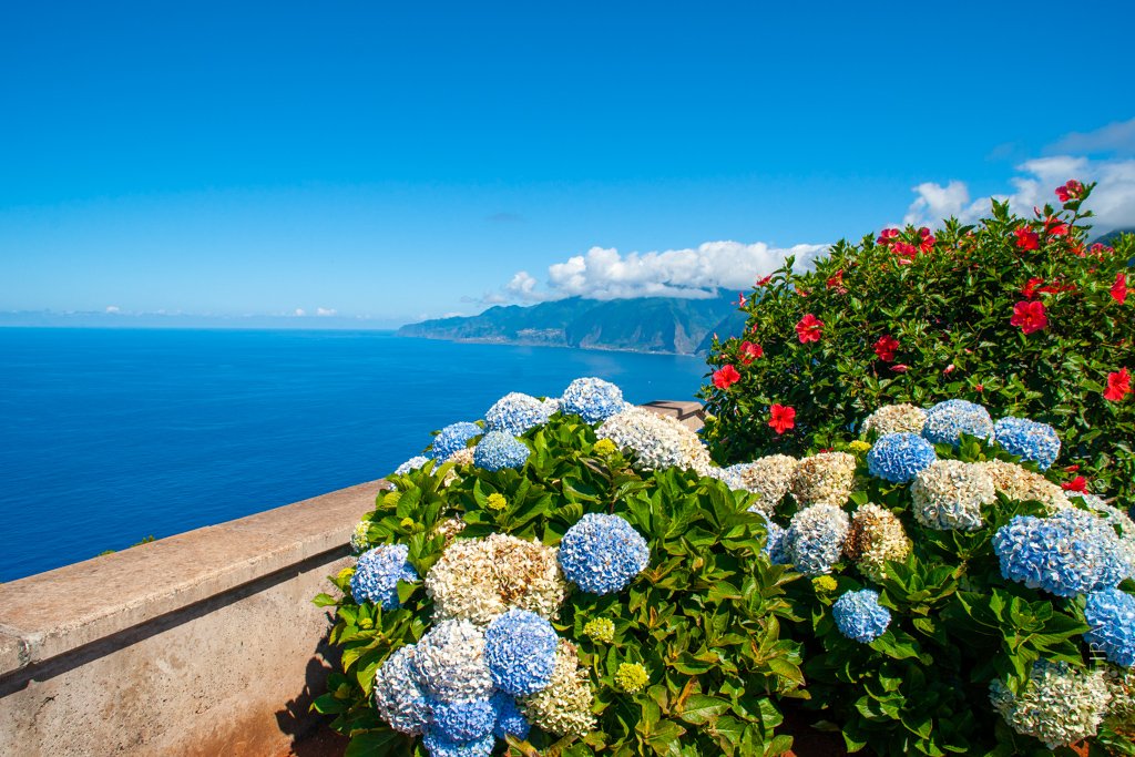 Madeira Island / Ilha da Madeira tweet media