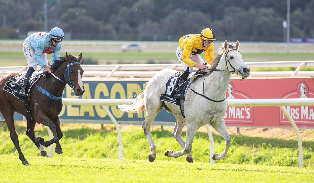 Perth Racing on Twitter: 