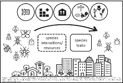 Insect Conservation and Diversity (@insectdiversity) on Twitter photo Urbanisation drivers and underlying mechanisms of terrestrial insect diversity loss in cities onlinelibrary.wiley.com/doi/full/10.11⦠via <a href="/Ecol_Ent/">Ecological Entomology</a> Urbanisation drivers and underlying mechanisms of terrestrial insect diversity loss in cities onlinelibrary.wiley.com/doi/full/10.11⦠via <a href="/Ecol_Ent/">Ecological Entomology</a>