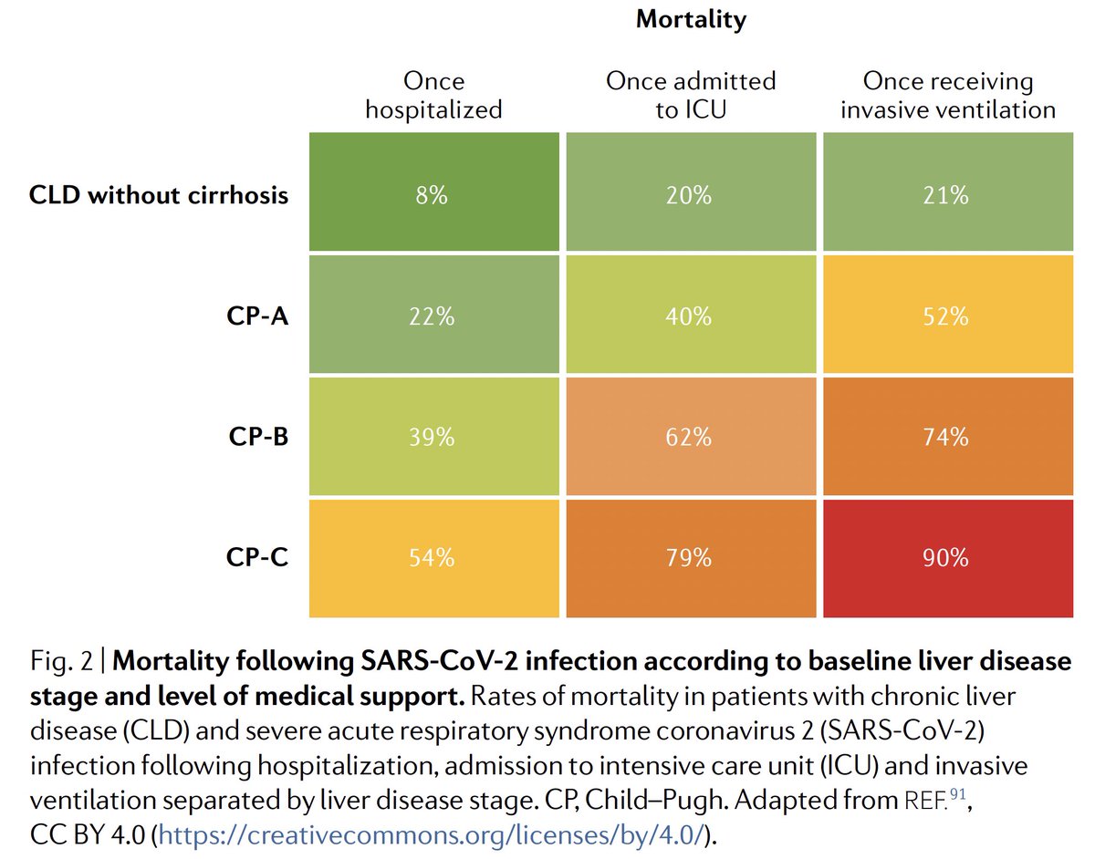 Gastro_Pedia's tweet photo. Risk of Mortality progressively increases with Increasing Child-Pugh Score - Nature Reviews Gastroenterology & Hepatology May Issue
#Covidvaccine #VaccinemustforCLD #SaveyourLiver https://t.co/HehgGXQJHG