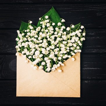 Un brin de bonheur et de jolies choses pour chacun de vous 😘