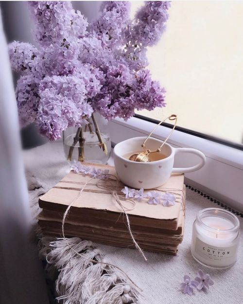 🐣🌻AliceTM_Liz (𝔸ℝ𝕀ℝ𝔸ℕ𝔾💜) tweet media