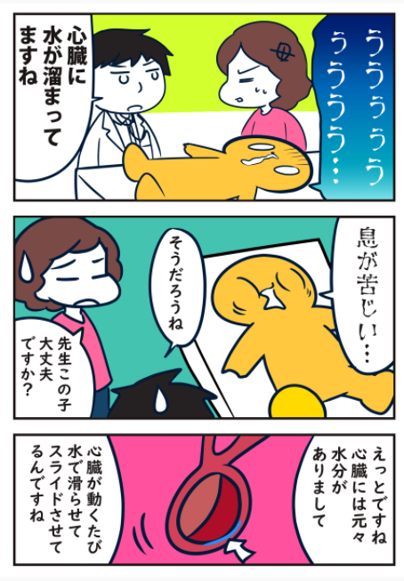 【再掲病気コレクション】心臓に水が貯まった話 #ヒトモドキ日記 