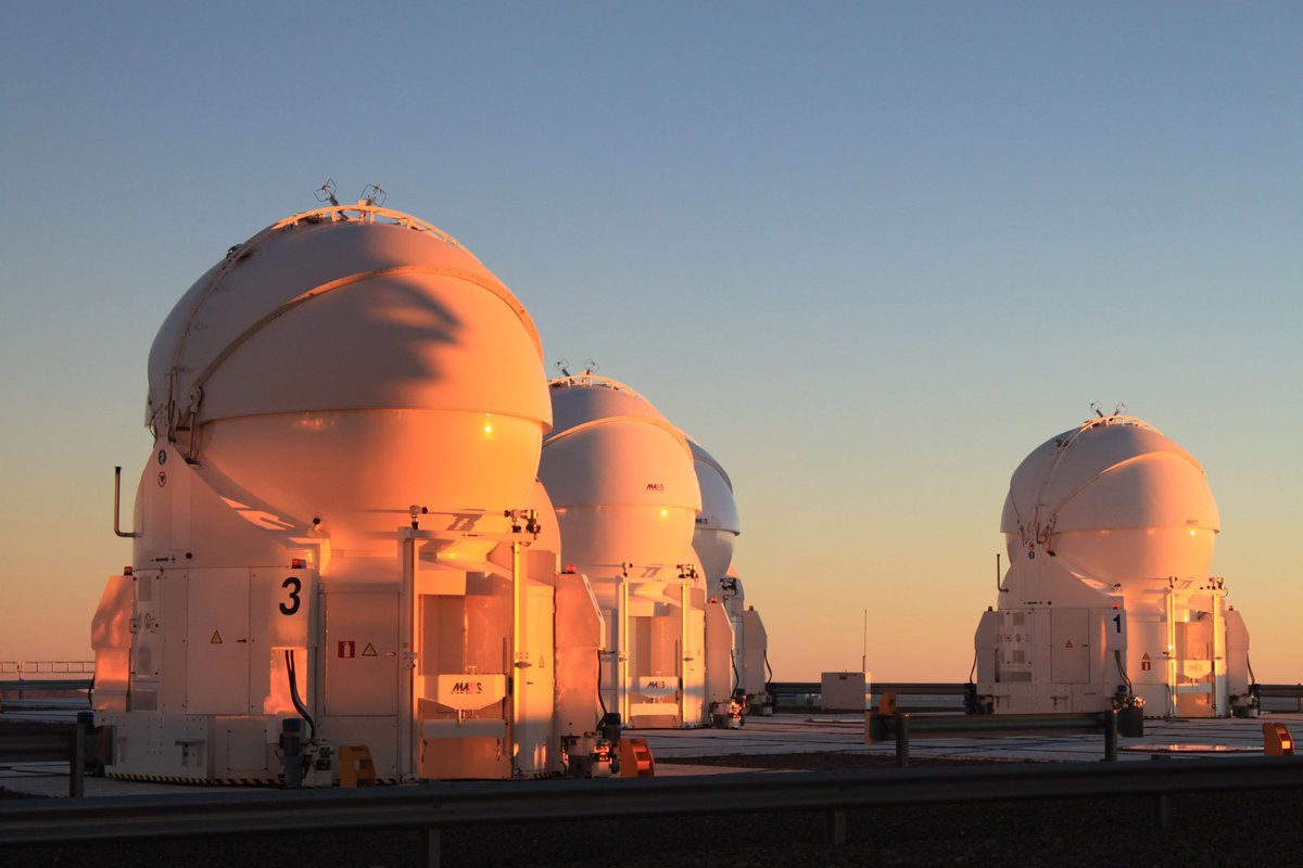 While watching the sunset this evening in August 2011, I had also taken pictures of the "little telescopes", thinking that I would like to immortalize the opening of these balls!