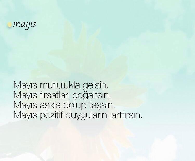 sertvurgulardan's tweet photo. https://t.co/haflza78bM