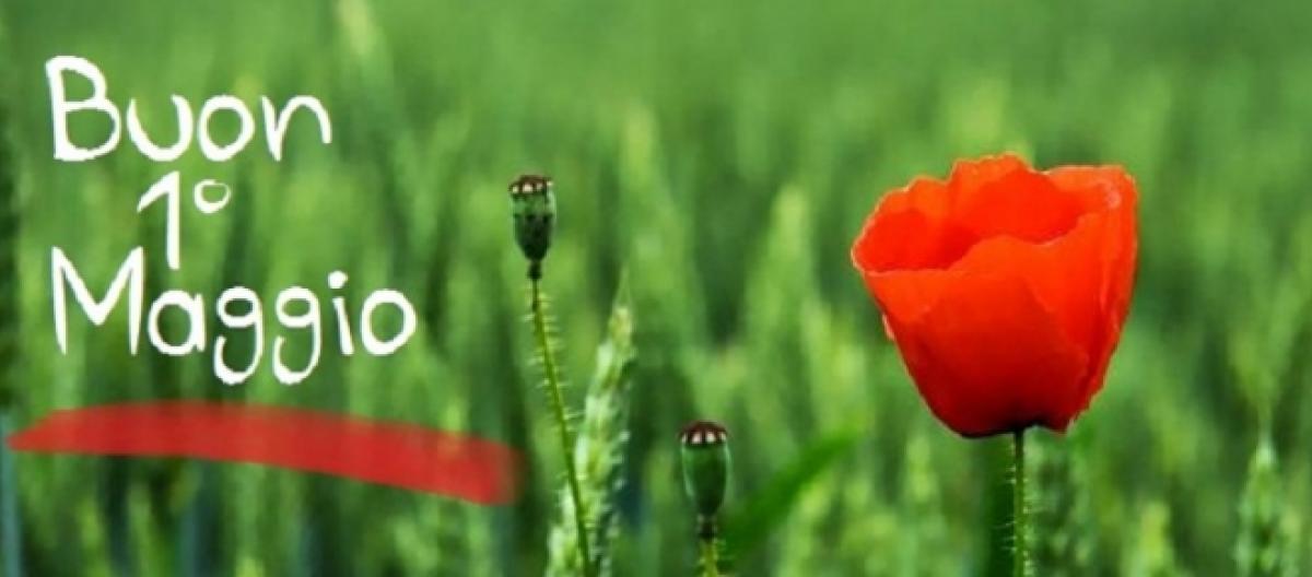 marstaf's tweet image. 