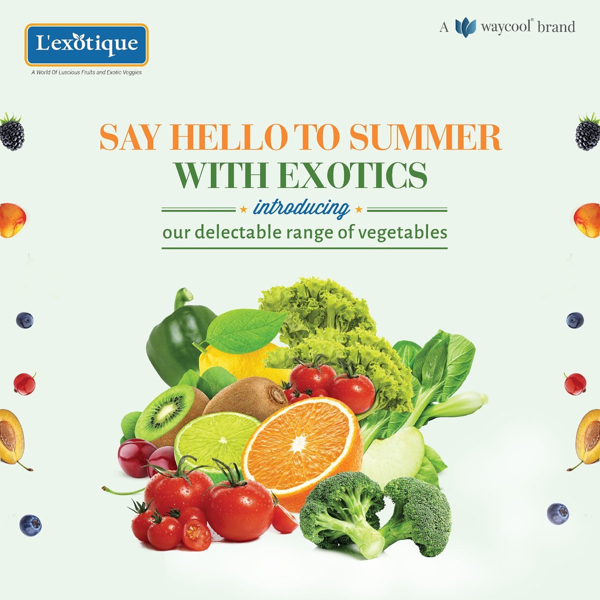 L'exotique (@lexotiquefruits) on Twitter photo L'exotique is now more exotic.
Presenting a fresh range of exotic vegetables sourced directly from farms. Our fresh produces are UV treated following all the safety and hygiene standards.
Head to your nearest <a href="/sunnybeemarket/">SunnyBee Market</a> and grab some farm-fresh exotics today.
#Lexotique L'exotique is now more exotic.
Presenting a fresh range of exotic vegetables sourced directly from farms. Our fresh produces are UV treated following all the safety and hygiene standards.
Head to your nearest <a href="/sunnybeemarket/">SunnyBee Market</a> and grab some farm-fresh exotics today.
#Lexotique