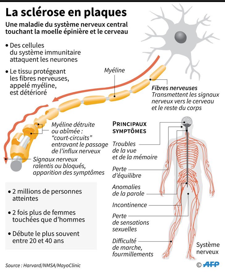 Mais moi, j'ai une colocataire.J'ai une sclérose en plaques.Une  #SEP, pour les intimes