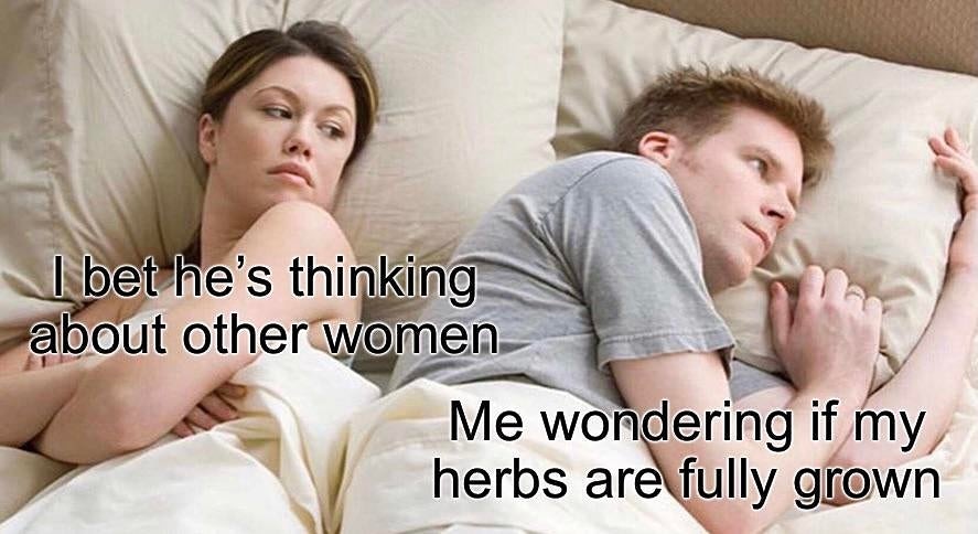 the_memezette's tweet photo. You know I am always running that mobile OSRS in bed.
#osrs #osrsmobile #osrs2007 #instascape #2007scape #osrsmobile #memes #osrsmemes #rsmemes #runescape #osmemes #gaming #gamememes #osrsgrinds https://t.co/LZepYi1abk