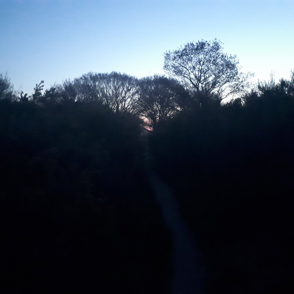 Kate Wilcox tweet media