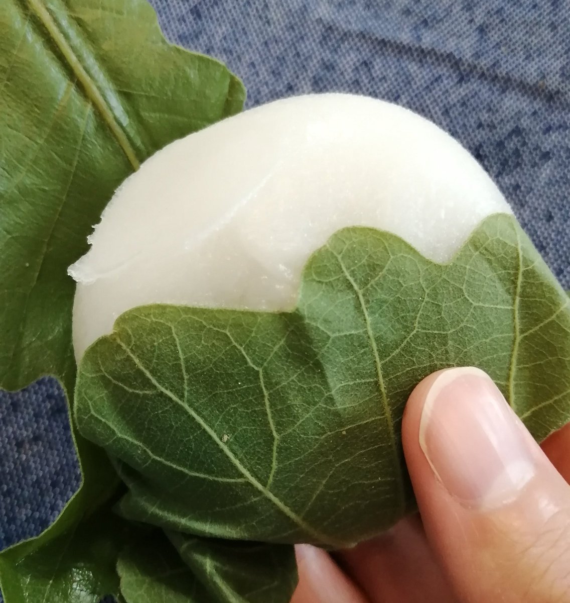 かしわもち until:2021-05-2_11_JST