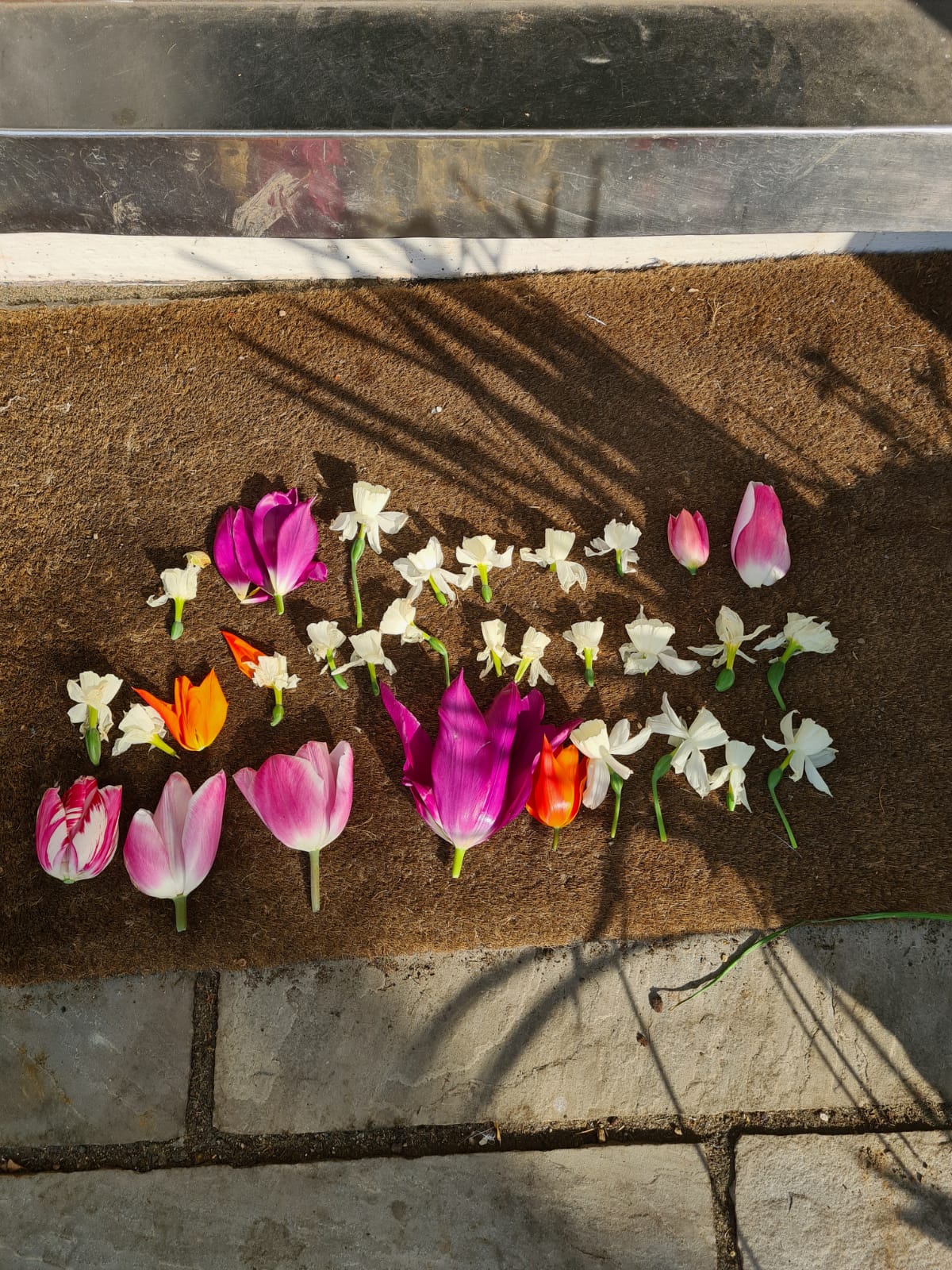 Bill Chidley Billbuffalo Twitter