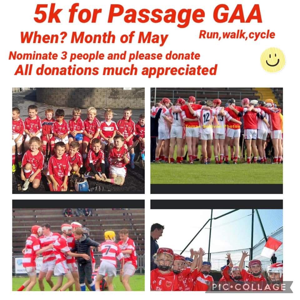 Passage Hurling Club tweet media
