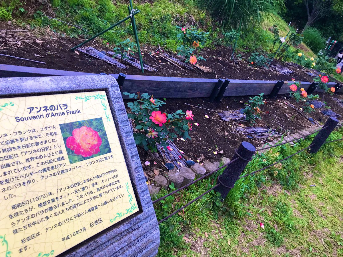 Enokido Skeb Music God Is Dead Today And He Just Pretends To Be Sad Don T Close Your Eyes Anne Frank Rose ばらの花 くるり レイ ハラカミ T Co Df9mkgabry Twitter