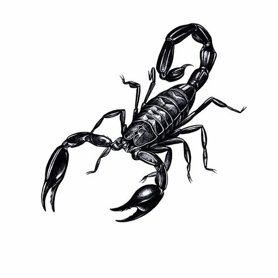 For example, the men can choose a scorpion tattoo because it is associated with sexuality and excitement. The male scorpions perform a mating dance to attract the females. Therefore, every man who tattoos himself a scorpion finds that he is a seducer or a Casanova.
