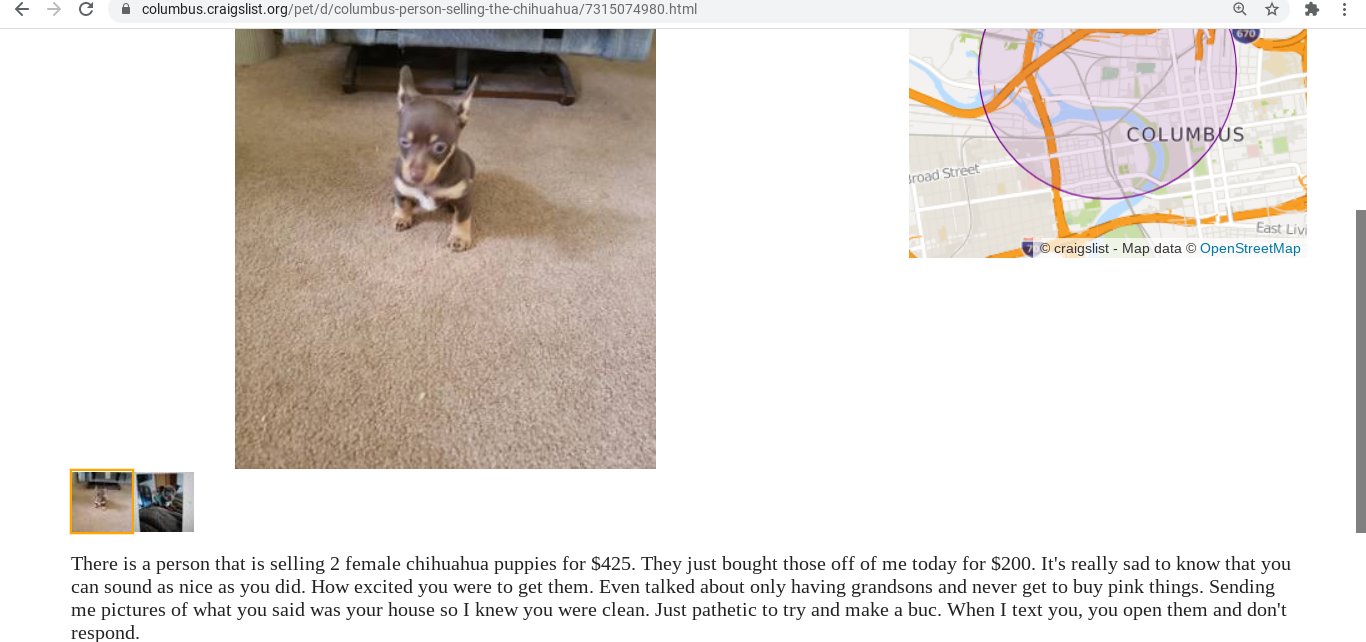 craigslist pets ann arbor area