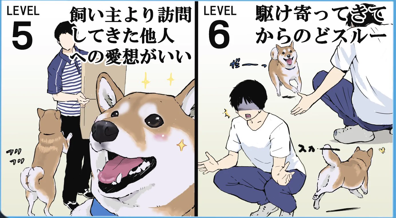 精神的ダメージは大きい！？愛犬にされたら地味にショックなこと8選！