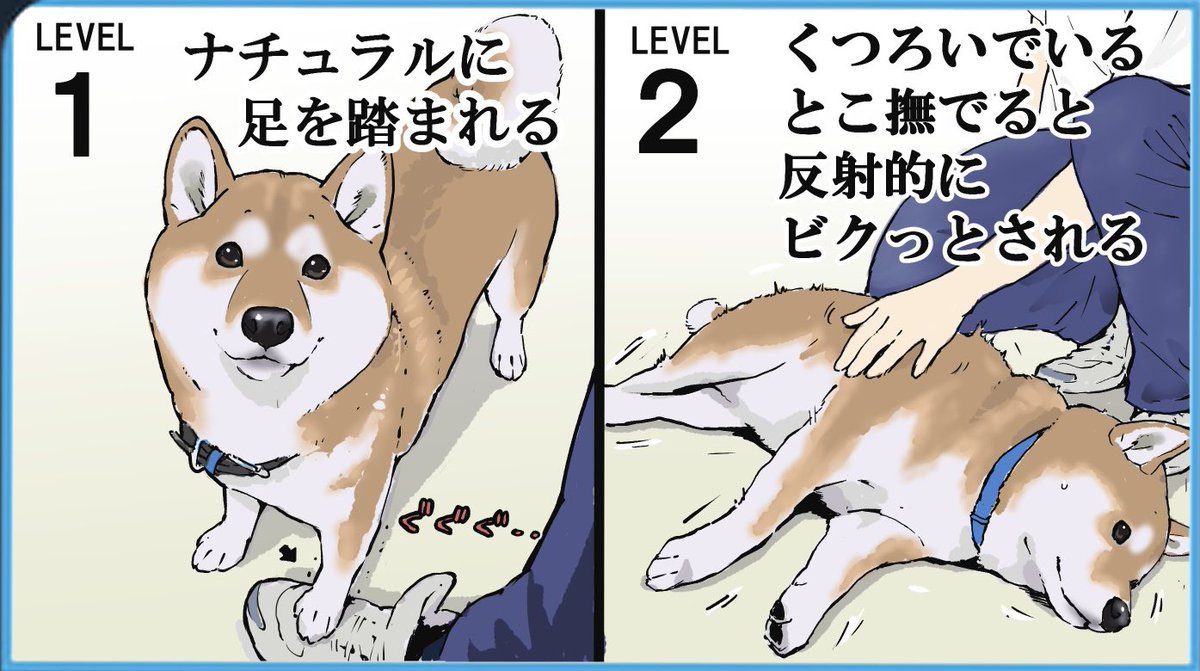 愛犬にされて地味にショックなこと 