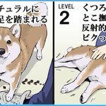 精神的ダメージは大きい!？愛犬にされたら地味にショックなこと8選!