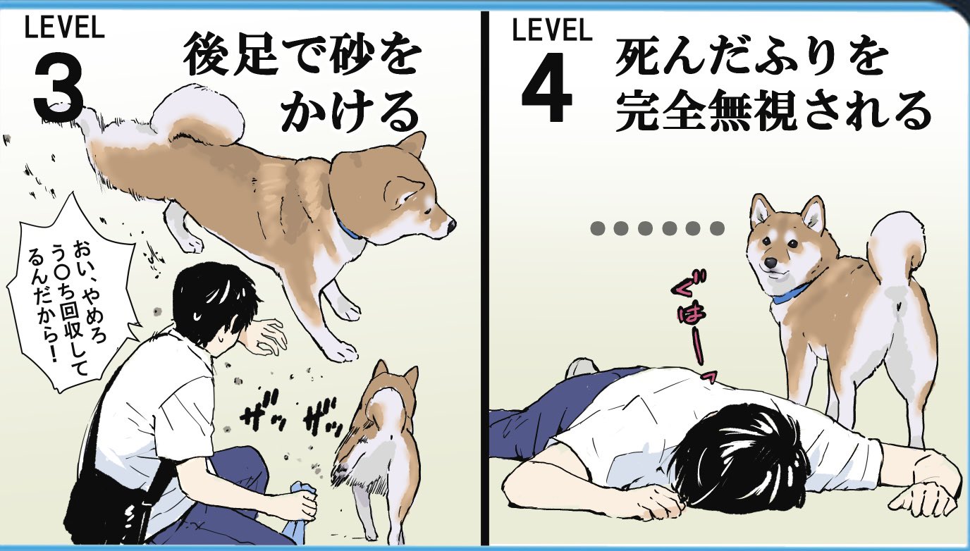 精神的ダメージは大きい 愛犬にされたら地味にショックなこと8選 話題の画像プラス 精神的ダメージは大きい 愛犬にされたら地味にショックなこと8選 話題の画像プラス