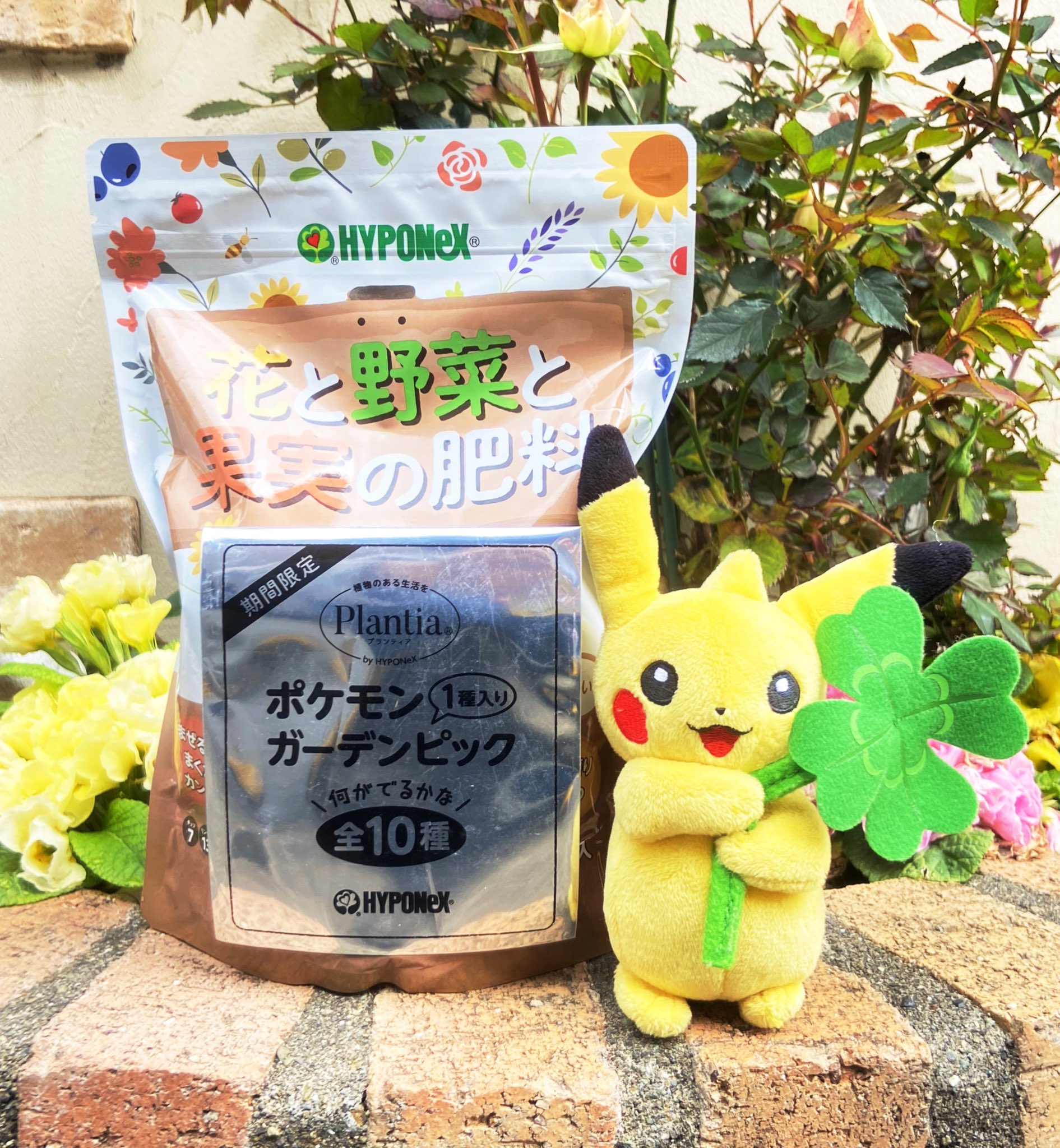 ヒノッチ ポケモンといっしょにおうちファーム ハイポネックスのプランティア ポケスナタイアップの肥料ゲットしました ガーデンピックはフシギダネ Newポケモンスナップ T Co Pcyd30jgnd Twitter