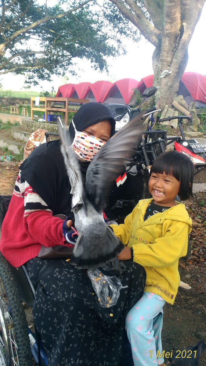 #HappyWeekend #burungmerpati
#Alhamdulillah