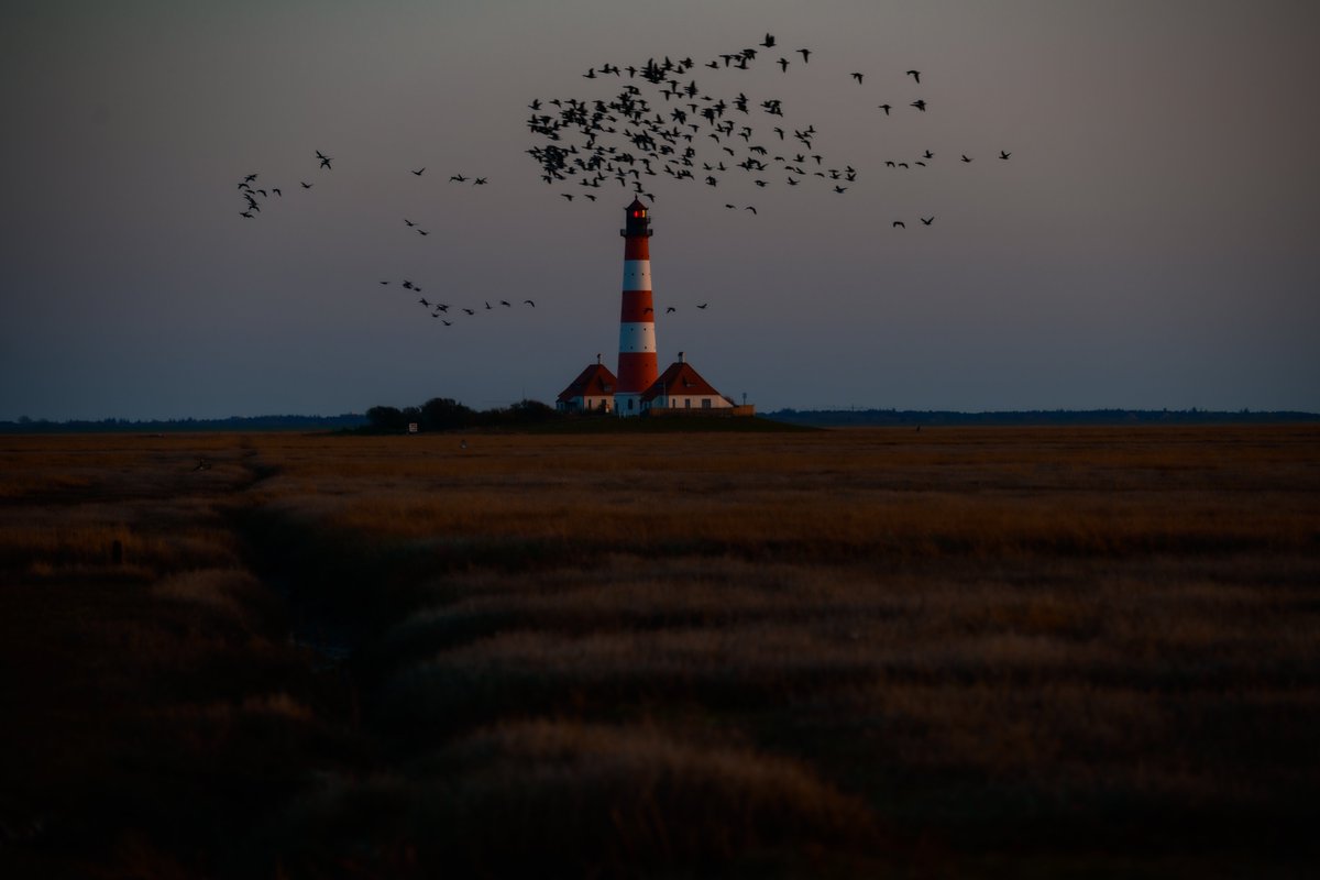 1909x1989's tweet photo. Leuchtturm Westerheversand kurz vor Sonnenuntergang

#Leuchtturm #Westerheversand #LeuchtturmWesterheversand #Westerhever #lighthouse #lighthousewesterheversand https://t.co/ZRR5qiJWzu