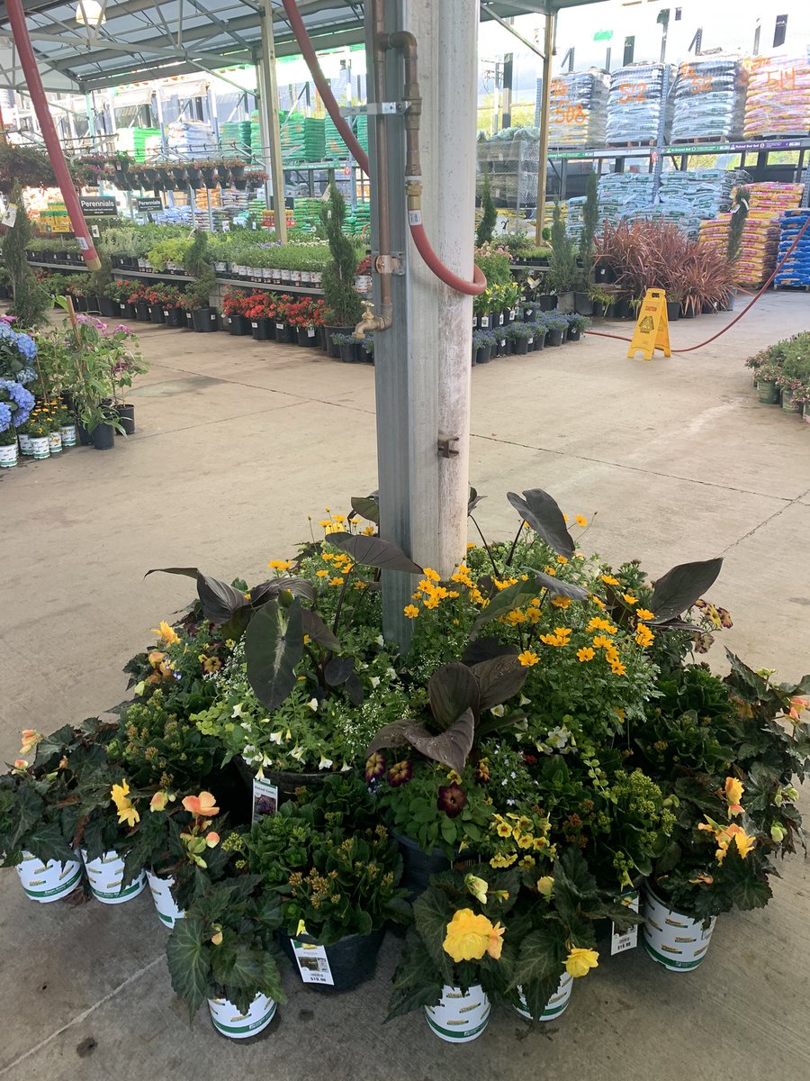 Huge shoutout to our vendors and suppliers. Live goods look amazing going into Mother’s Day weekends. <a href="/Bselch/">Brianna Selch</a> <a href="/JBashans/">Justin Bashans</a> <a href="/Sutherland214/">Marcus Sutherland</a> <a href="/EileenFerrarin/">Eileen Ferrarin</a> <a href="/HDPlants/">Ken Koenig</a> #AmazingANSandSmiths