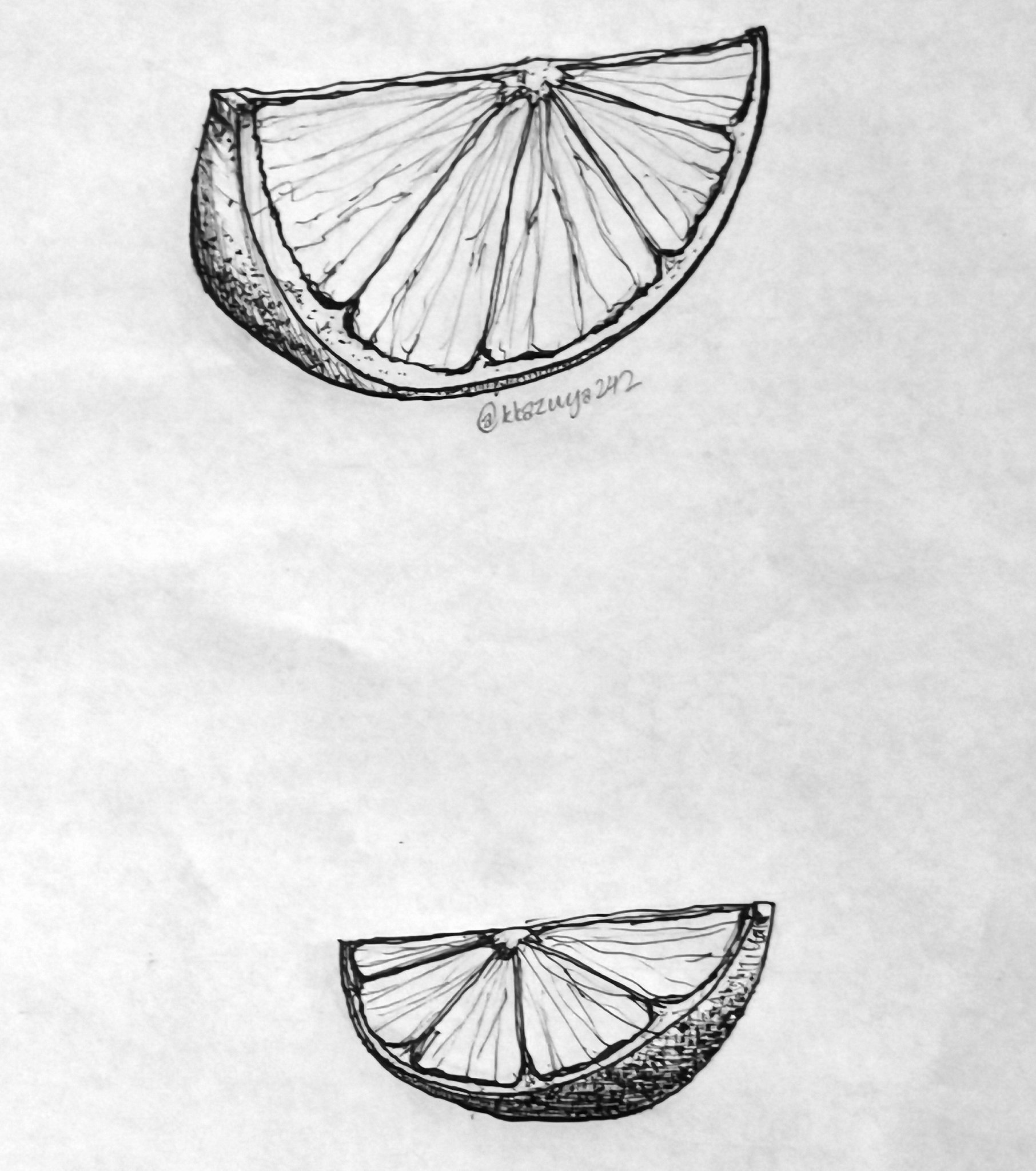 Details more than 90 sketch of orange fruit latest in.eteachers