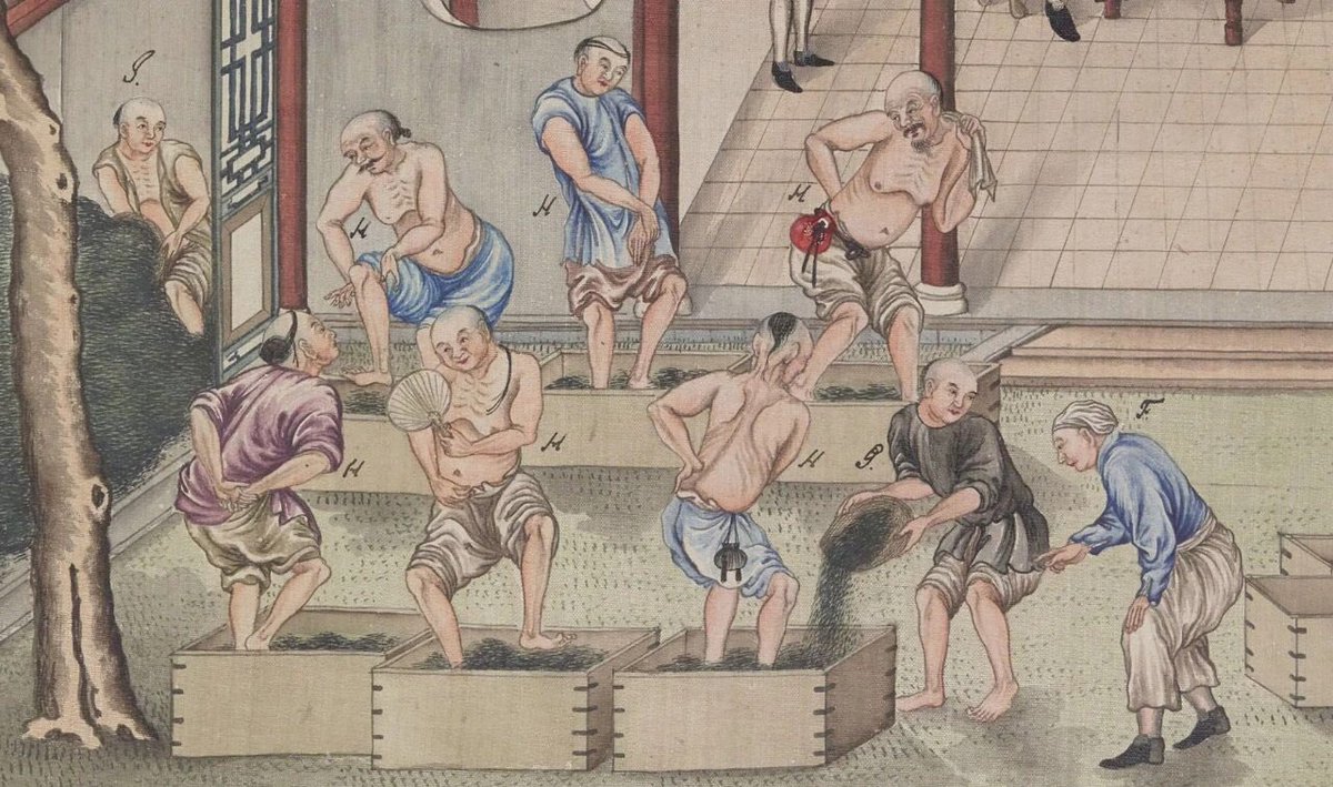 tongbingxue's tweet image. Culture of Tea, a 50-plate paintings, documenting whole process of Tea’s production in Wuyi Mountain,  and trading with Europeans, in 18-19th century.

Wuyi , home to oolong tea and lapsang souchong black tea.
The #ChineseTea here, has dominates western tastes since 17th century