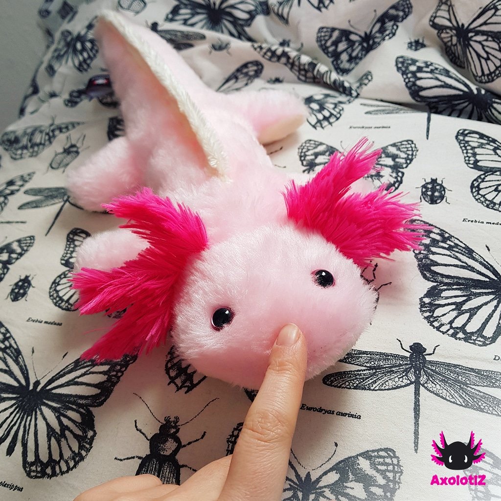 cute axolotl teddy