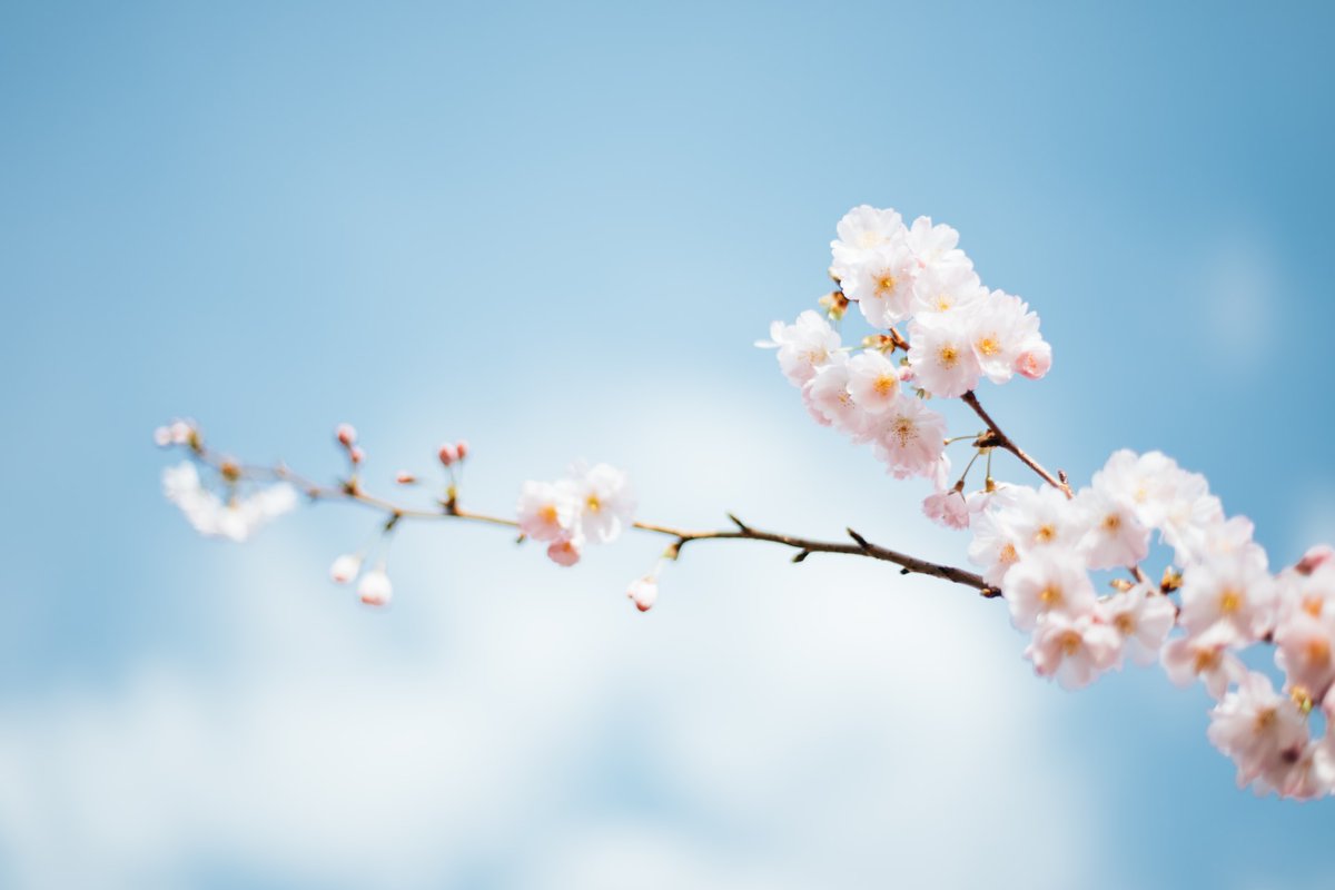 craigberoch's tweet photo. ~ READY TO RESET ? ~
Spark your creativity
Seize this moment
Register for #free
#Spring #Reset
Sunday, 16 May
14:00 to 17:30 UK time
https://t.co/8nvapZkOkI
Wishing you an excellent weekend,
~ @Craigberoch #Business #Decelerator
#gratitude #nature #stress #relax #time https://t.co/baWYKfMpmb