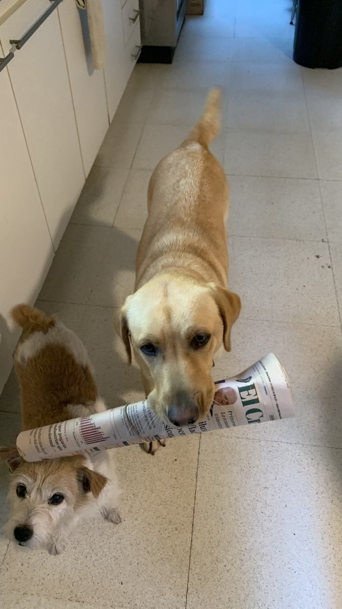 Tera se pasó buena parte de la mañana ahí esperando que llegue el diario. Le voy a tirar el de ayer asi tiene algo que entrar.