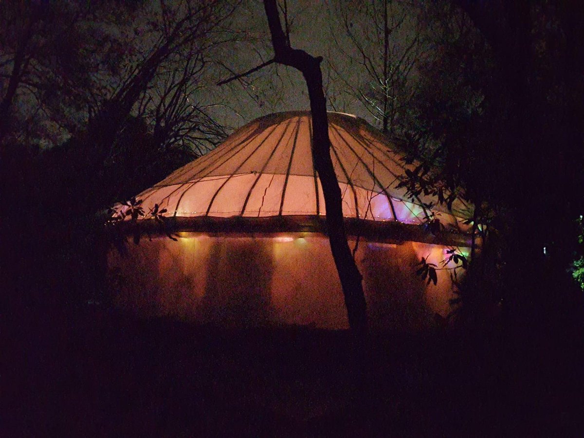 Rising like a phoenix from the flames 🔥 - eepurl.com/hxo025