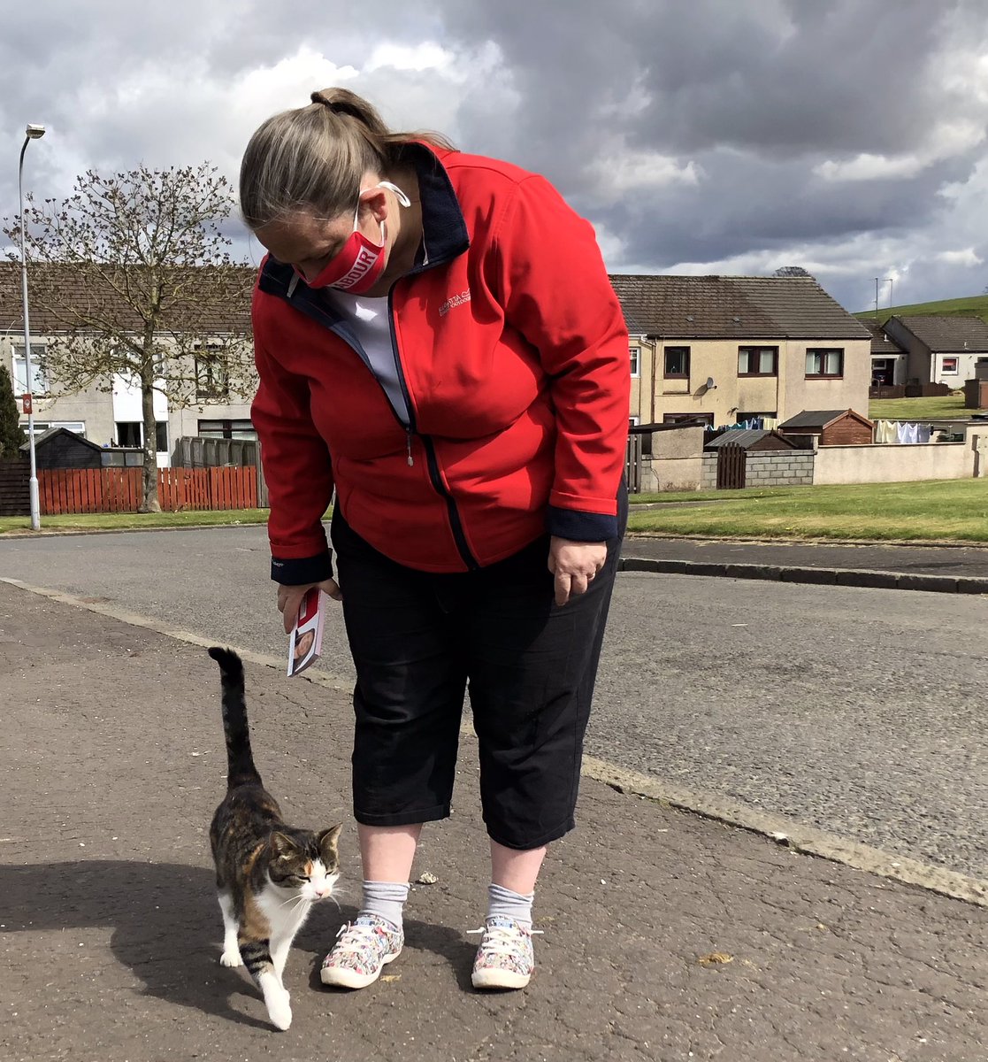 CCDVLabour's tweet photo. We met lots of friendly cats and friendly voters during our Saturday morning #LabourDoorstep session #Barshare and #Craigens in #Cumnock #BothVotesLabour #scottishlabour #Labour #SP21 https://t.co/xdb0W6mgUM