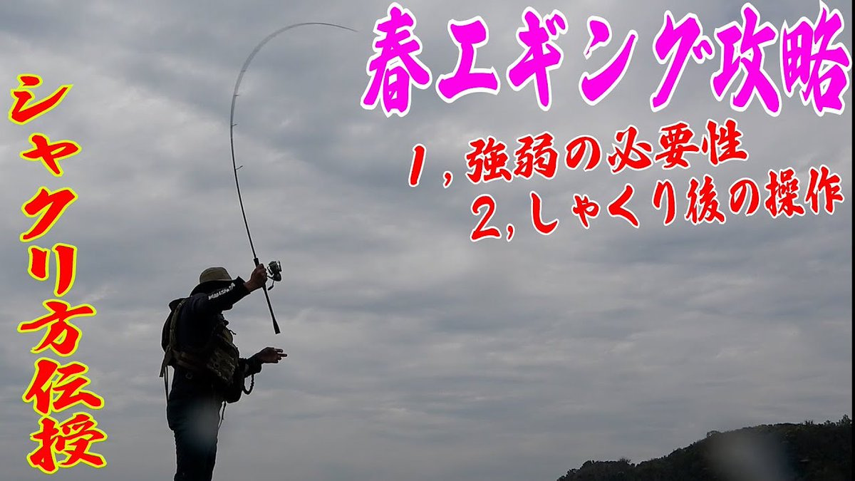 春エギング 春エギング
