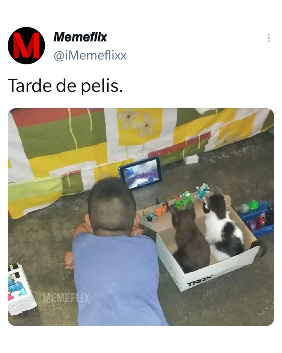 Buaala tweet media