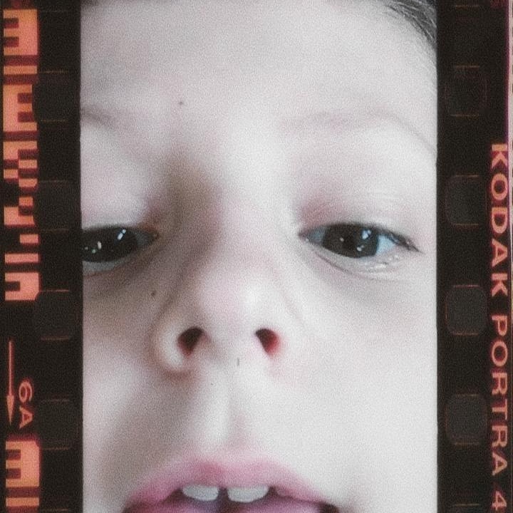 KoalaVideo's tweet image. Привет!