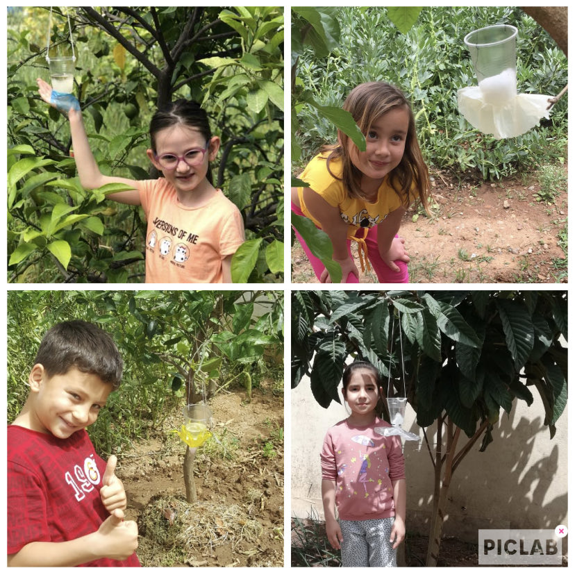 Şehit Nedip Cengiz Eker İlkokulu 1/A sınıfı öğrencileri evlerinin bahçelerinde, kendi tasarladıkları kelebek yemliği ile kelebeklerini besliyor👍🧿🌸 🦋 ⁦<a href="/SehitEker/">Marmaris Şehit Nedip Cengiz Eker İlkokulu</a>⁩ ⁦<a href="/MarmarisMem/">Marmaris İlçe Millî Eğitim Müdürlüğü</a>⁩ ⁦<a href="/mugla_mem/">Muğla İl Millî Eğitim Müdürlüğü</a>⁩