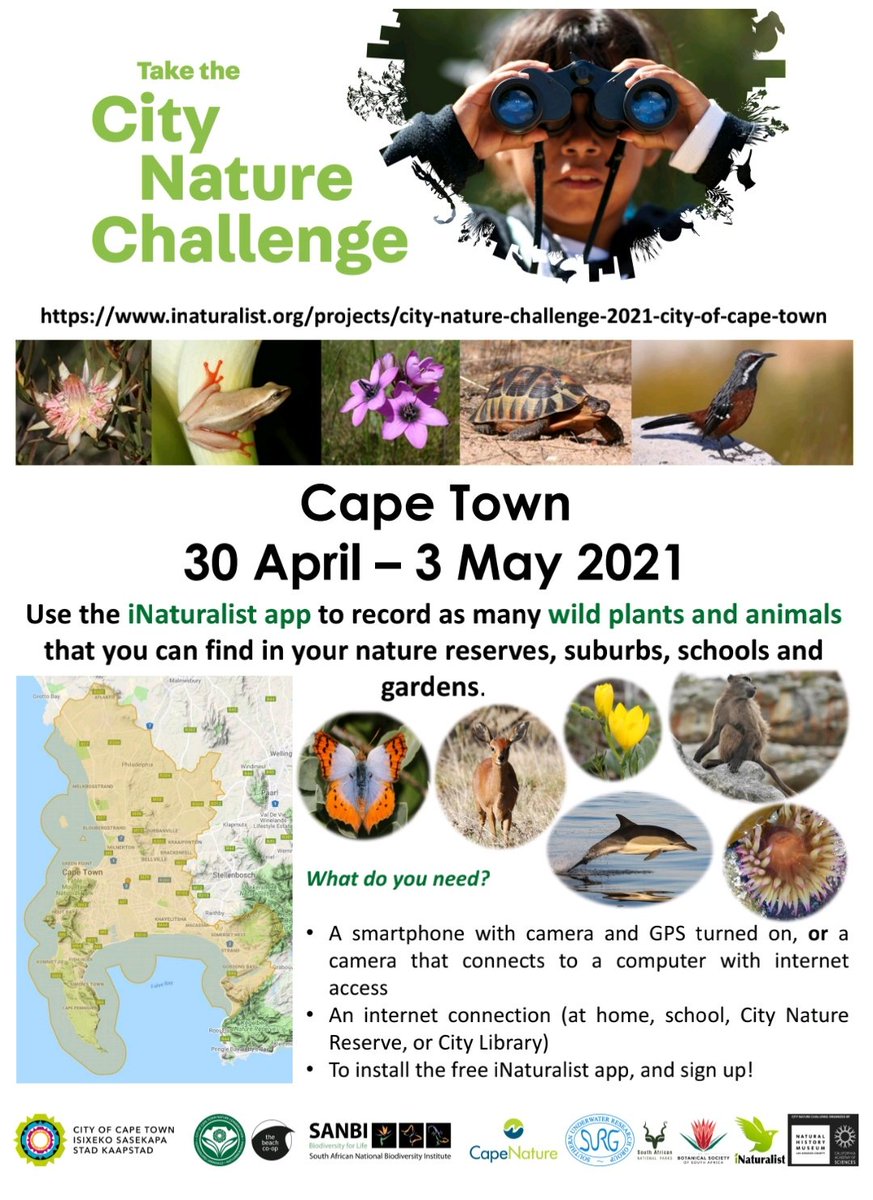 Let's take the City Nature Challenge💚💚💚
#capetown #southafrica #naturephotography #naturelovers #nature_photo #citynature #citynaturechallenge #citynaturechallenge2021 #inaturalist #wildlifephotography #wildlife #southafricanwildlife #southafricanwildlifephotography #challenge