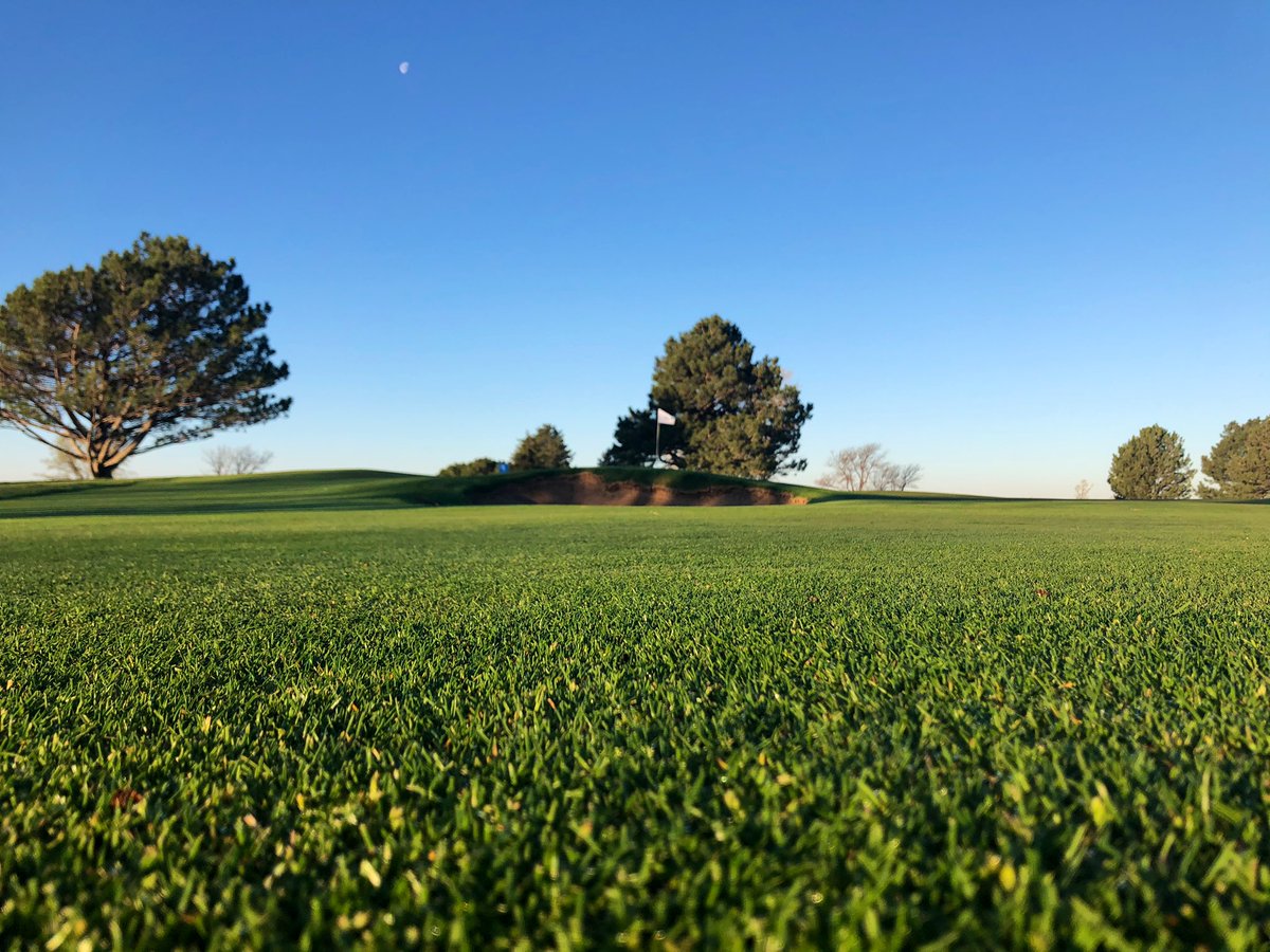 Mitch Chalkley tweet media