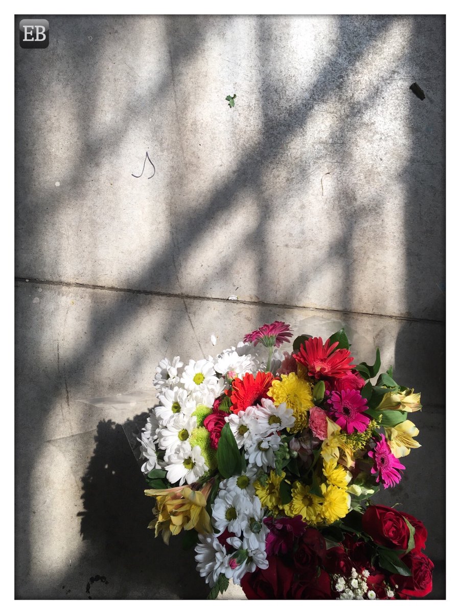“Brightened #Bouquet” is.gd/8uXJcp #TheDailyMobile #photography #Carnations #Concrete #ConcreteFloor #Daisies #Diagonal #DiagonalLines #Flowers #Graphic #Grid #GridPattern #Lines #Magenta #Orange #Patterns #Pink #PopOfColour #Red #Shadows #Sunlight #Yellow