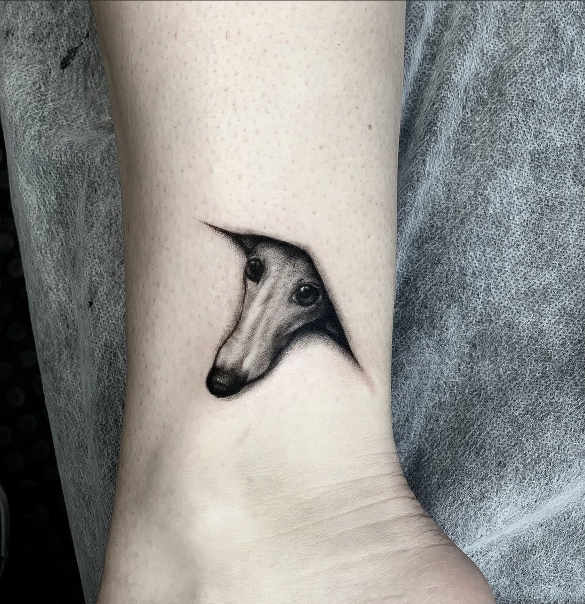 chelltattoo's tweet photo. El hermoso KIWI 🥝 #dog #tattoo #TattoGirl #chelltattoo @chelltattoo https://t.co/apwGYGS9N2